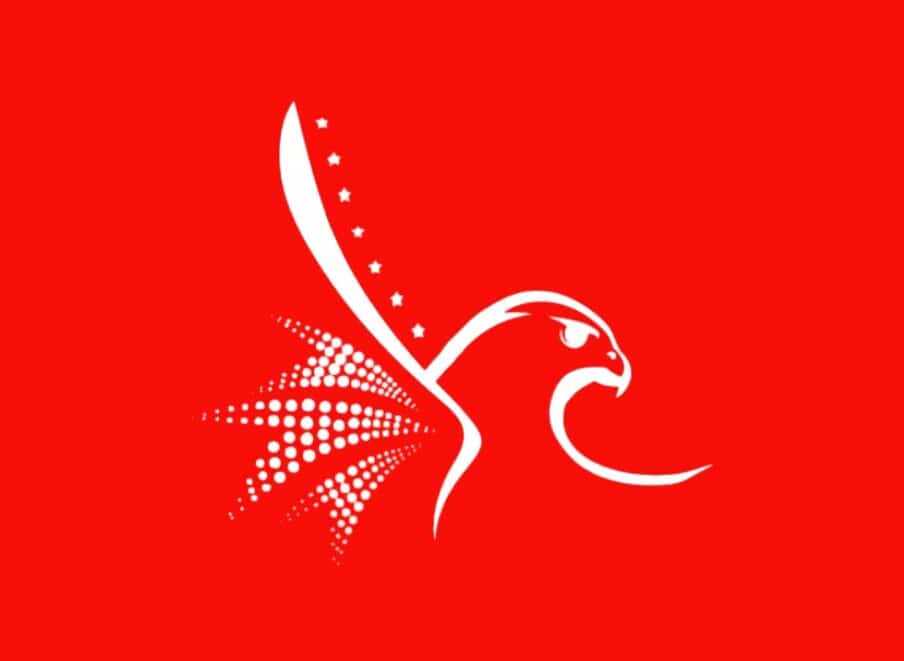 Emergency 14 Days Multiple Entry Visa Emirates Visa Express